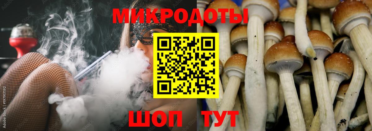 Галлюциногенные грибы мухоморы  Вход с VPN  Большой Камень 